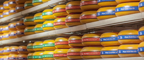 Cheese replicas: almost real!