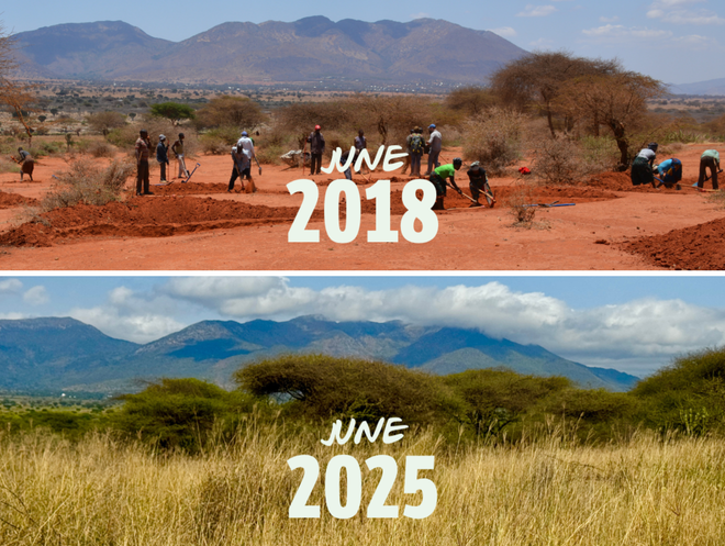 Vergroening tijdens BOSKA Green Friday