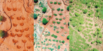 No Black Friday, but Green Friday