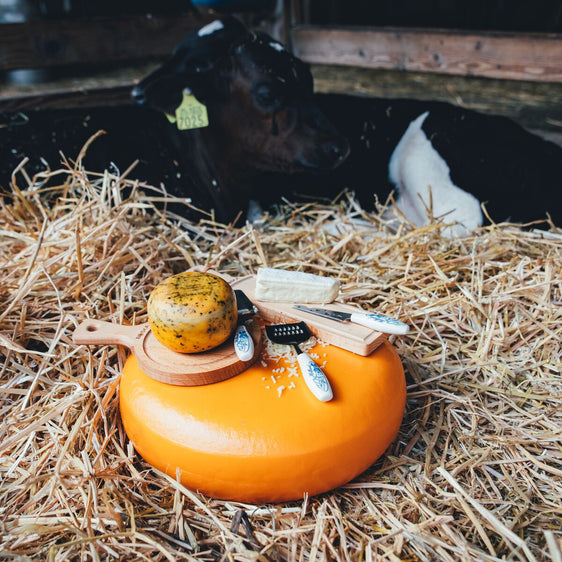 Couteau à Fromage Pâte Mi-Molle Mini Delft Bleu