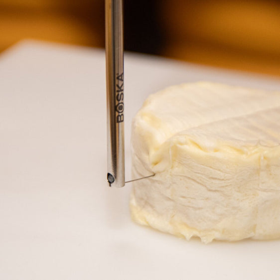 Lyre à Roquefort 240 mm