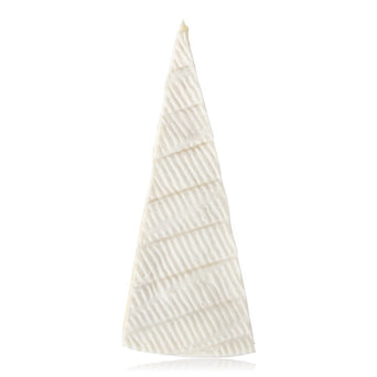 Brie factice, part, 1/16 Kaasdummy Brie, punt, 1/16