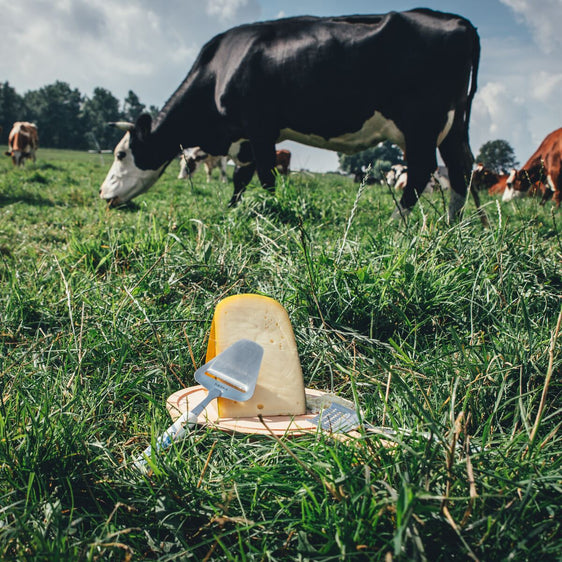 Käsehobel Delfter Blau