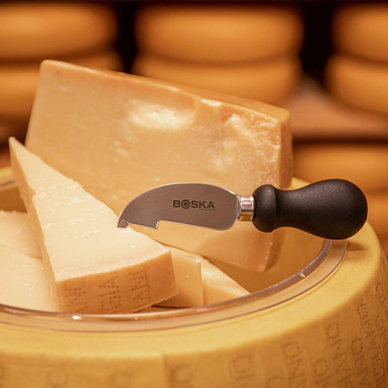360049 - BOSKA Kaasdummy Parmesan Reggiano Met Schaal