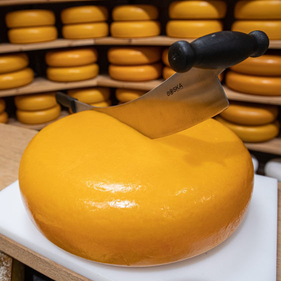 Professioneel Hollands Kaasmes 'L', 380mm