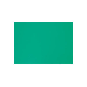 Kaas Snijplank HACCP Groen 450x330x20 mm Kaas Snijplank HACCP Groen 450x330x20 mm