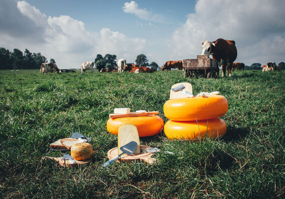 Kaasrasp Delfts Blauw