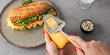 Discover tasty new cheese sandwich ideas