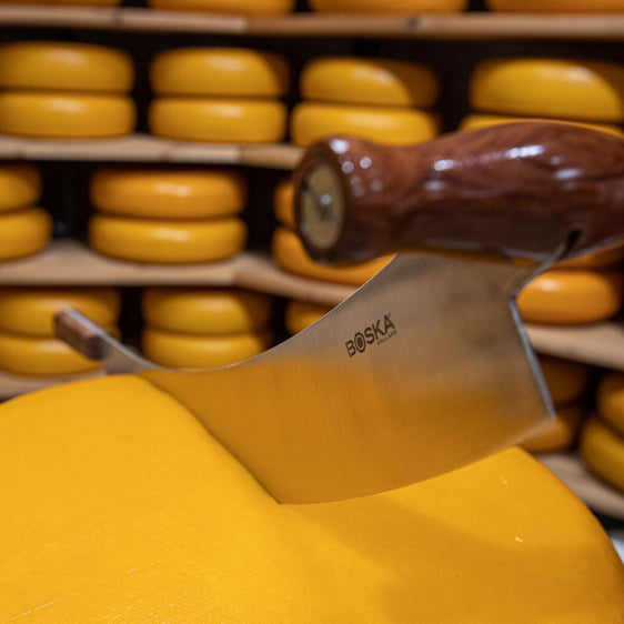 Dutch Cheese Knife Professional Wooden Handle M 250 mm